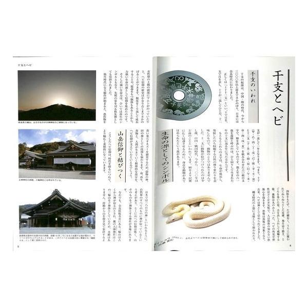 50 Off 水墨画で年賀状 巳を描く葉書 和紙 色紙作品とその描き方 Buyee 日本代购平台 产品购物网站大全 Buyee一站式代购bot Online