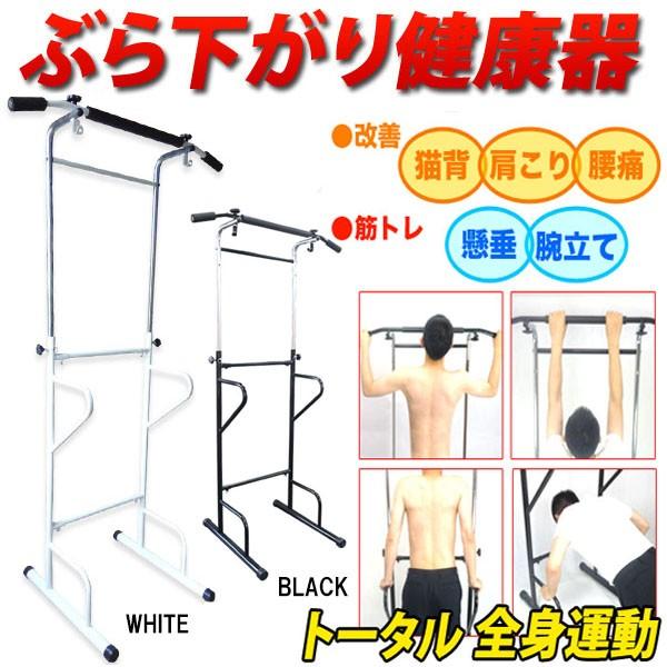 ぶら下がり健康器 トレーニング チンニング ディップス プッシュアップ