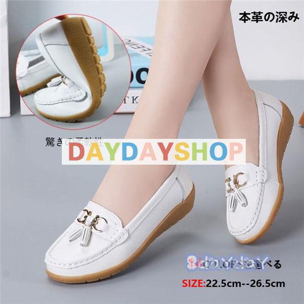 fB[X JV {v rbg^Cv ʋC h\[ q[t@[ y ɂ V 傫TCY