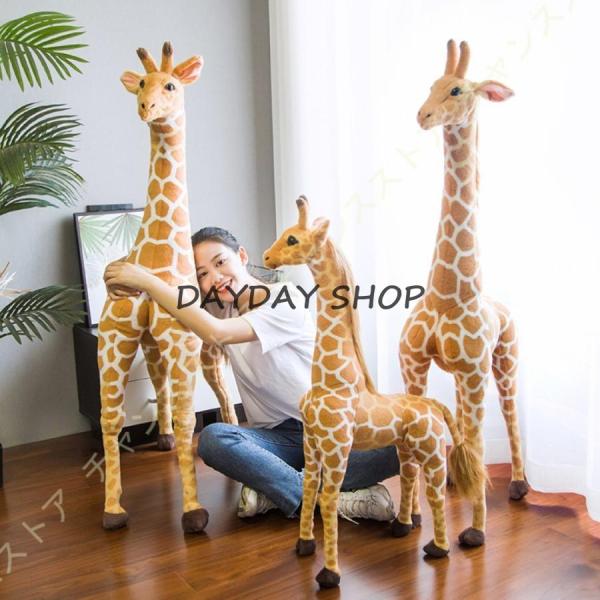 dayday-shop_ngm312232123