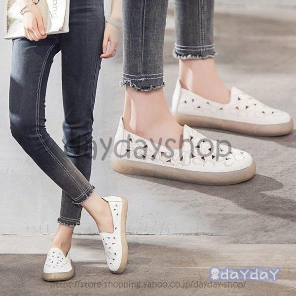 T_ fB[X  q[ t ₷ V[Y  JWA r EFbWT_ V