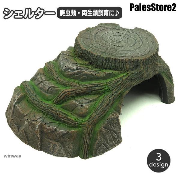 中型爬虫類用ケージ 岩の背景付き 小物付き 中型爬虫類用ケージ 岩の背景付き 小物付き Amazon | トカゲ