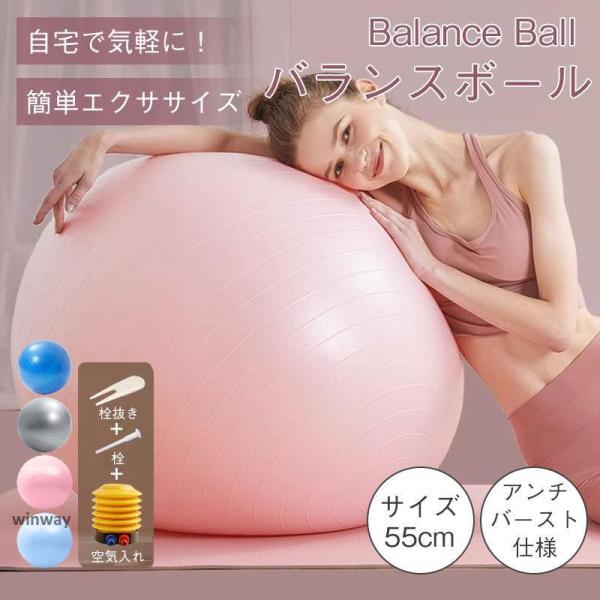 55センチ バランスボール4個 空気入れ付 バランスボール55cmパープル（空気入れ付き）：La-VIE公式