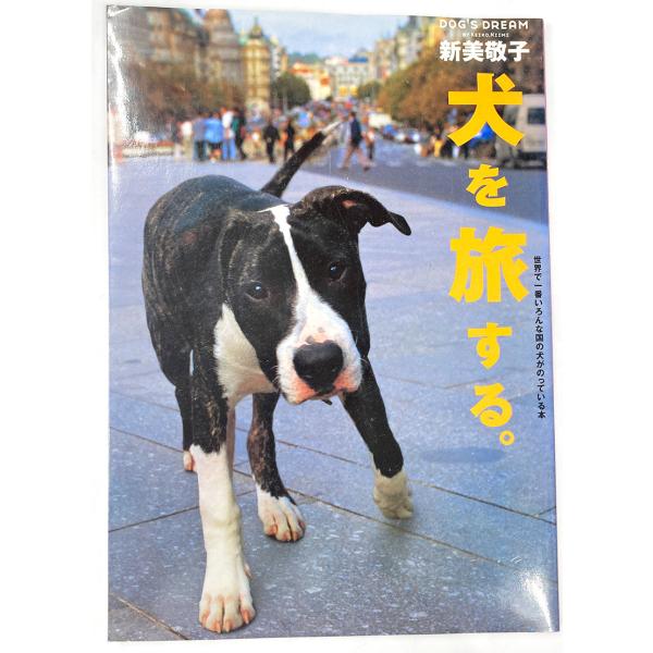 [Release date: March 7, 2025]目立つ汚れはありませんが中古品の為、小傷、スレ、ヤケ等ございます。ご了承の上ご注文下さい。