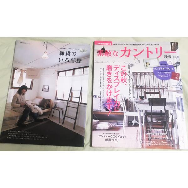 2冊セットです。付録等ございません。中身そこそこきれいだと思いますが中古に付き表紙のヤケ、スレ、折れ、シミ等、などございます。完品のものをお求めの方はご注文をご遠慮ください。