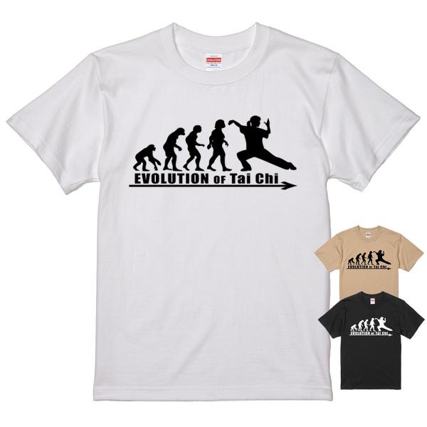 進化 EVOLUTION Tシャツ 太極拳  ( 白 ライトベージュ 黒 ）タイチ 国武術 演武