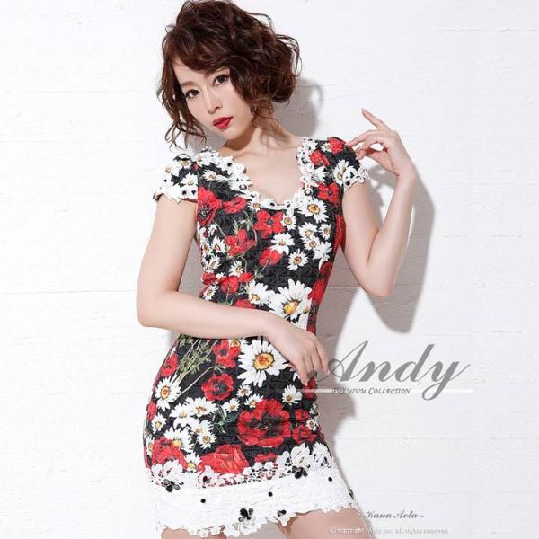 ドレス キャバドレス ワンピース ナイトドレス Andy S ビビッド 花柄 タイト 総柄 黒 レディース ミニドレス 女性 Daz レース 超目玉 刺繍