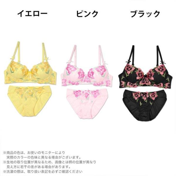 ブラショーツ ブラジャー ショーツ セット 下着 刺繍 Sexy ブラジャー ショーツ下着セット 下着 レディース セット ブラジャー ショーツ Buyee Buyee Japanese Proxy Service Buy From Japan Bot Online