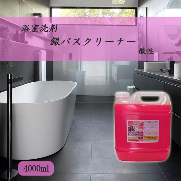 お風呂用洗剤 銀バスクリーナー酸性 業務用4000ml 石鹸カス水あか掃除 除菌消臭洗浄 銀イオン Ag S4000 お掃除ソムリエ ディーシー ラボ 通販 Yahoo ショッピング