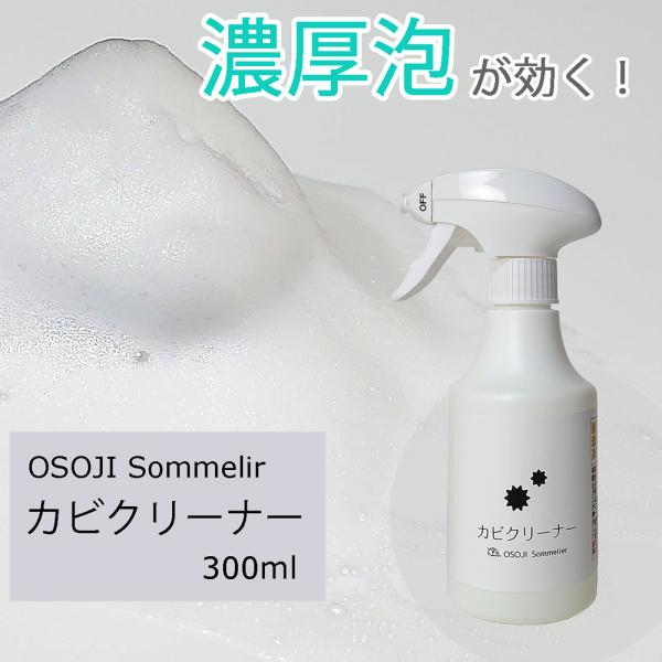 OSOJI SommelierV[Y JrN[i[ 300ml    ^C SpbL R[LO ڒn Jr Jr ZA  ێ   Y LC