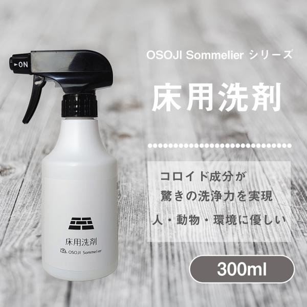 OSOJI SommelierV[Y p(300ml) tAN[i[  t[O ^C V[g im\CRCh l  D L  Rȉ