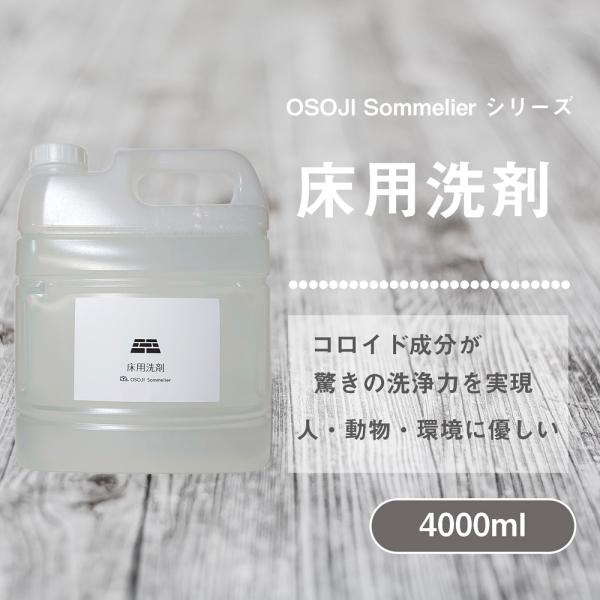 OSOJI SommelierV[Y p(4L) tAN[i[  t[O ^C V[g im\CRCh l  D L  Rȉ