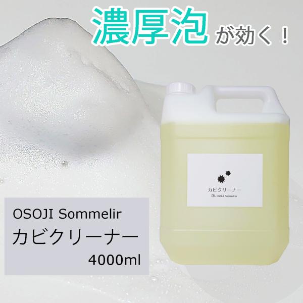 OSOJI SommelierV[Y JrN[i[ Ɩp4L    ^C SpbL ڒn Jr Jr ZA  ێ   Y LC