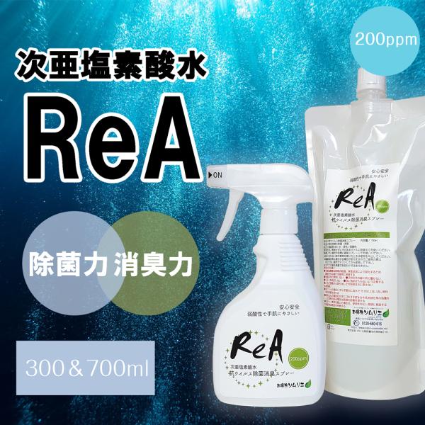 yzReA RECXۏLXv[ 300ml700mlZbg f_ ۃXv[ LXv[ ECX  ۑ΍ L R