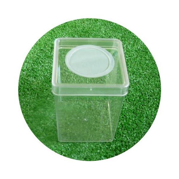 󂠂iIfBbV{g p^ 310075