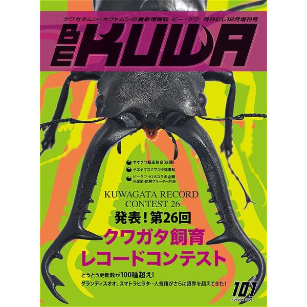 BE-KUWA101号　ネコポス便送料込み BEKUWA101