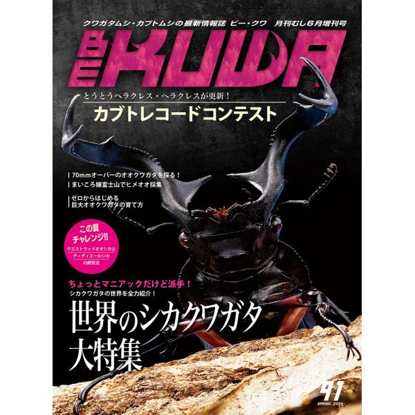 【発売日：2024年04月12日】発送開始日4月12日を予定しています。クロネコゆうパケット送料無料です。配達は郵便局が行います。郵便受投函になります。申し訳ございません。旧ネコポスより配達日数が１日余計にかかります。発表！世界のシカクワガ...