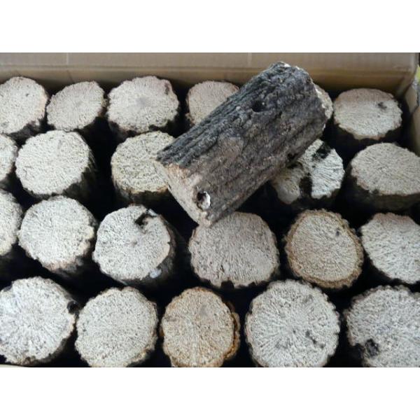 ※送料無料の表示のない商品は別途送料（送料欄参照）が必用です。送料は注文後に加算されます。初めての方はヤフーのシステムでは注文確認時に送料は0と出ますが送料無料と早合点！しないでください。オオクワガタなどの産卵に最適のクヌギ材です。エノキマ...