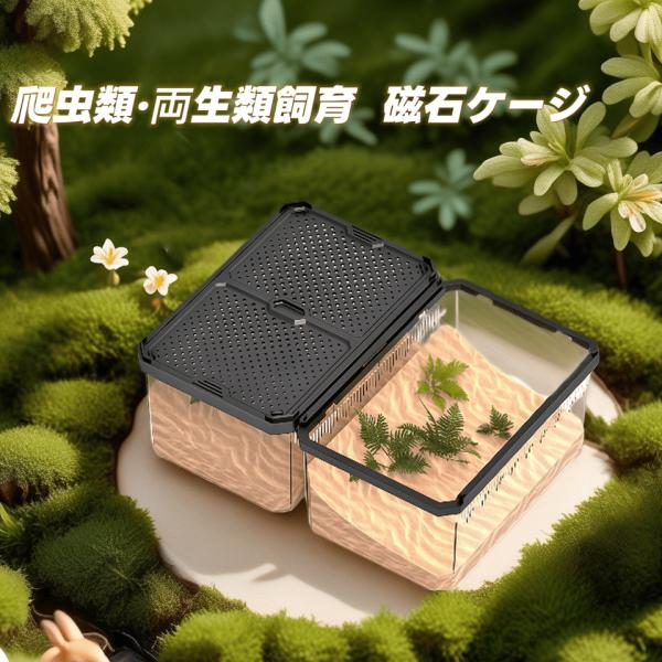 爬虫類・両生類飼育  高硬度 プラスチック 磁石ケージ 空気穴あり　360度観察