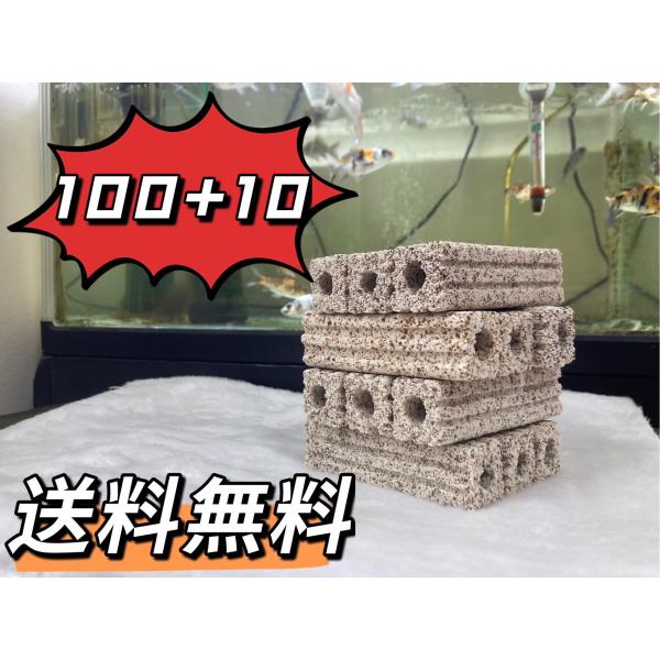 高品質納豆菌角棒ろ材100+10 : DCMアクアリウムショップ - 通販 高品質納豆菌角棒ろ材100+10 : DCMアクアリウムショップ - 通販