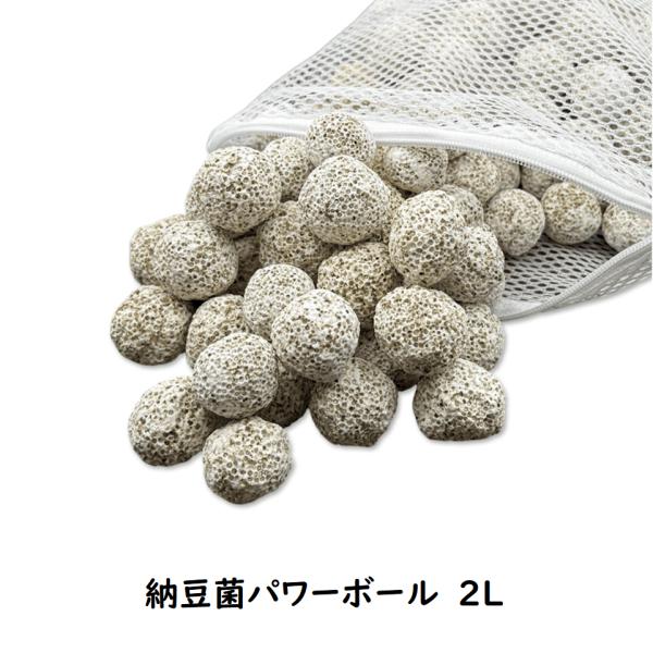 2L水質浄化抜群濾過材ボールろ材納豆菌入り多孔質パワーボール2L即時発送送料込み Amazon | DCM濾過材ボールろ材 納豆菌入り多孔質パワーボール
