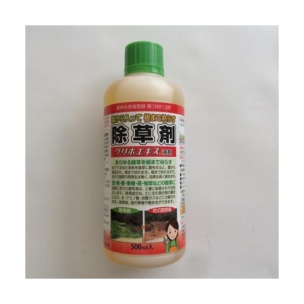 ԏ镨Y OzGLXt/500ml 500ml