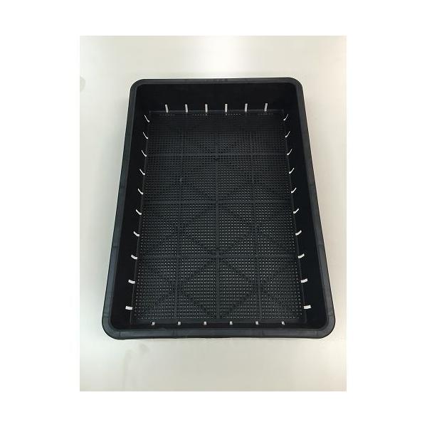 ���S���� ��c��/51�^ 51�^