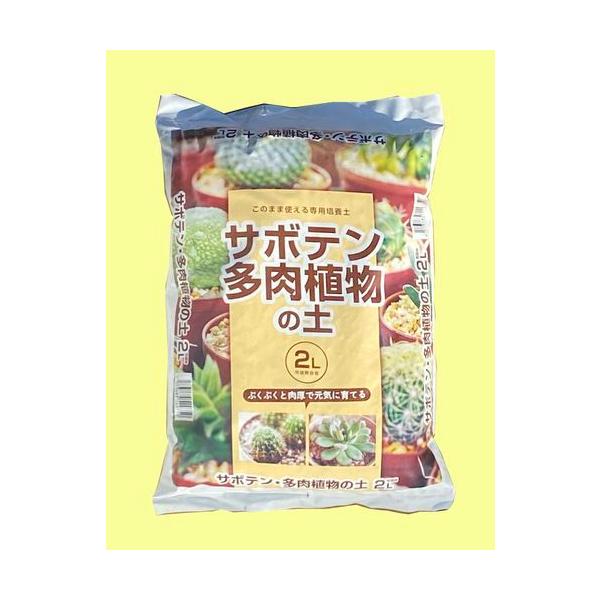 あずこも様 多肉植物棚 DB-BG2 多肉植物）おまかせ多肉植物 2号（5
