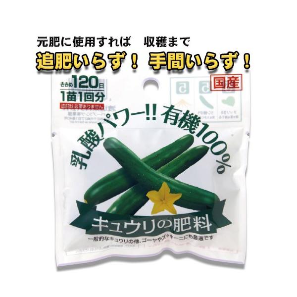 苗 キュウリの人気商品 通販 価格比較 価格 Com