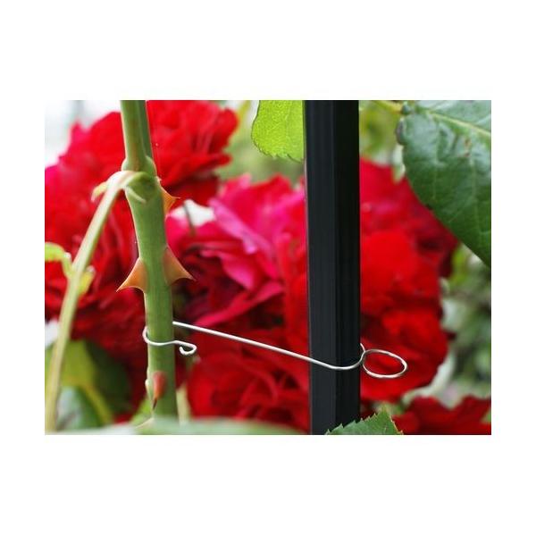 バラ 支柱の人気商品 通販 価格比較 価格 Com