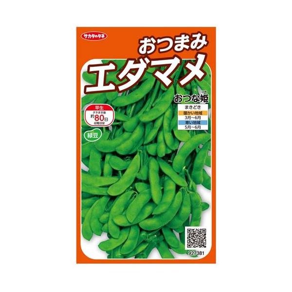 家庭菜園のプロ監修 3月に種まき 苗を植える野菜とは おすすめ品目10選 農業 ガーデニング 園芸 家庭菜園マガジン Agri Pick