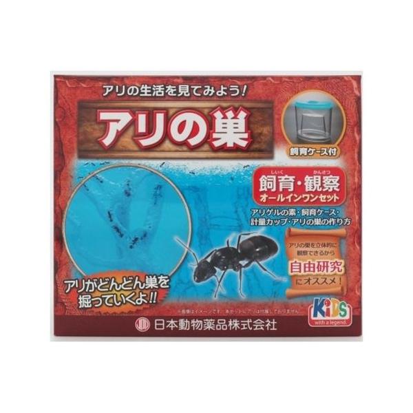 アリ飼育観察セット Dcmオンライン 通販 Paypayモール