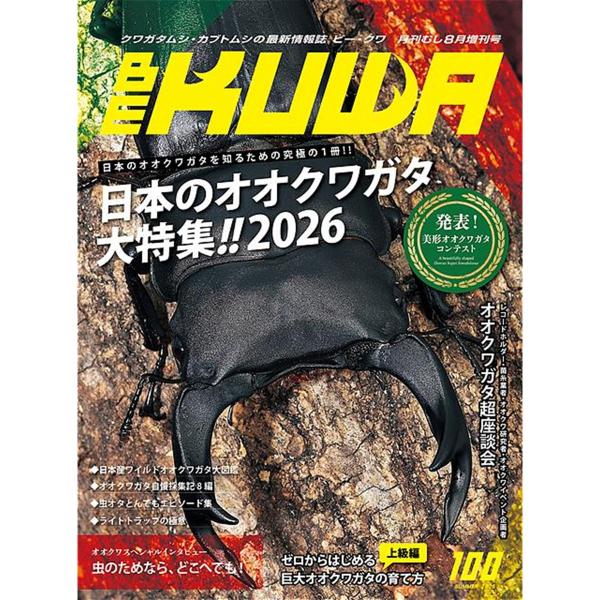 BE-KUWA 最新号No.100「日本のオオクワガタ大特集」 dda クワガタ カブトムシ 雑誌