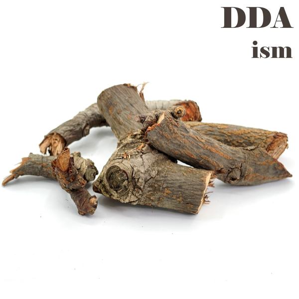 レイアウト端材(枝セット) dda クワガタ カブトムシ マット 止まり木