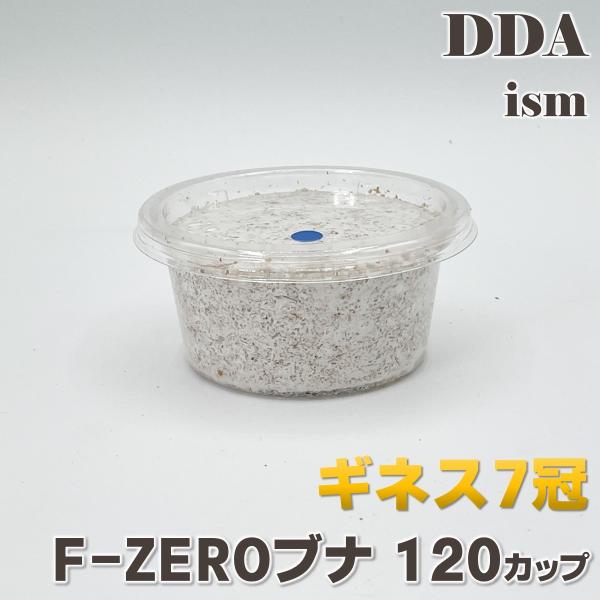 F-ZERO(ブナ50%) 120 dda クワガタ 菌糸ビン 菌糸瓶 幼虫 エサ