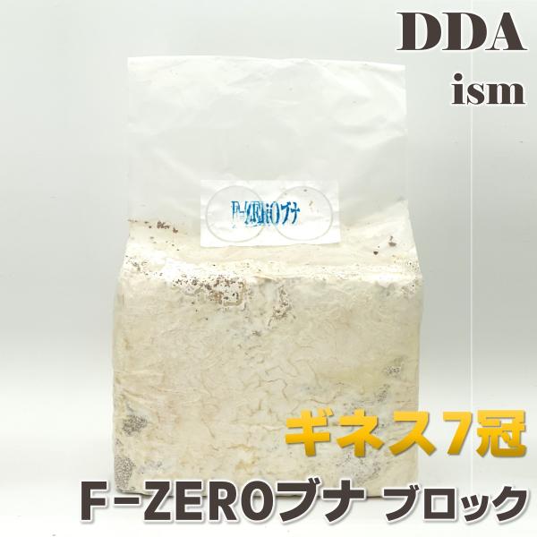 ブロック崩し・菌糸・クワガタ F-ZERO ブナ100% ブロック クワガタ 菌糸ビン 菌糸瓶 幼虫 エサ
