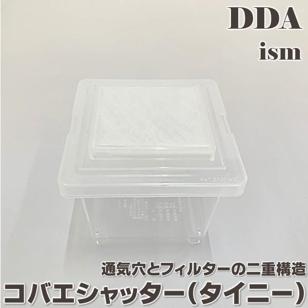 (サイズ:105×105×93mm)  (特徴:♀、小型種の管理に最適) (注意事項:本品は昆虫飼育用品です。目的以外の用途では使用しないでください)　くわがた かぶとむし 成虫 観察