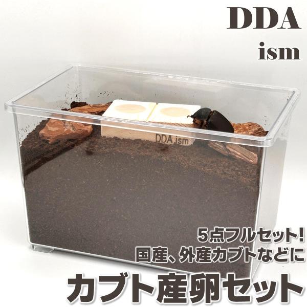 産卵マニュアル付き　カブト産卵セット　※昆虫はセットに含まれません セット内容(1)コバエ侵入抑制 飼育ケース(中) ×1個(2)パウダーinゼリーEvo 18gＭ ×8個 (DDAオリジナルゼリー)・匠のえさ皿 18gＭ 2穴 ×1個 (...