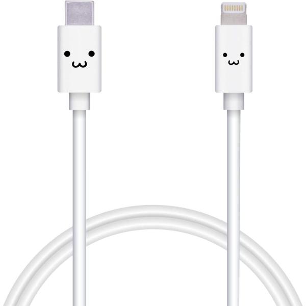 GR TypeC to Lightning P[u iPhone [dP[u APPLEFؕi 1.0m zCgtFCX MPA-FCL10WF