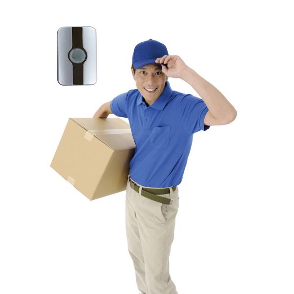 ddshop_4943125710811_3_d_20241108134220