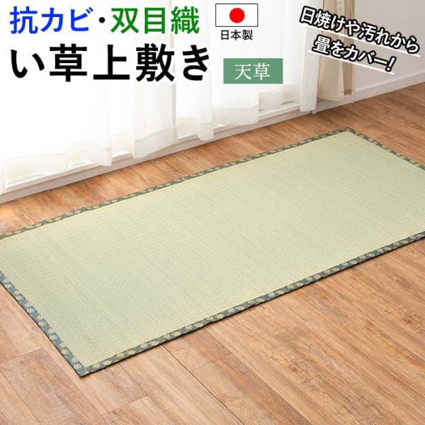 ラグ い草 上敷き ござ 畳 日本製 敷物 夏用 カーペット マット 抗カビ 双目織 高品質 絨毯 たたみ 敷くだけ 和室 本間 一畳 1畳 1帖 約95.5×191cm 天草 (H)