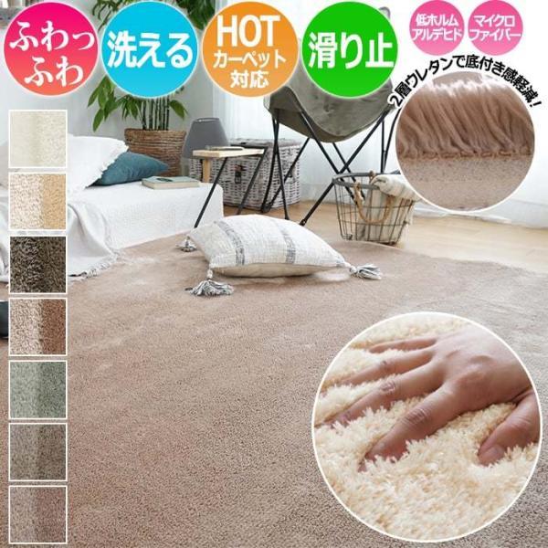 カーペット ラグ 洗える ふわふわ 毛足長め 高反発 2層 ウレタン ホットカーペットOK オールシーズン 洗濯OK 新EXマイクロ 約190×240cm 四角形 MS-305 (SUL)