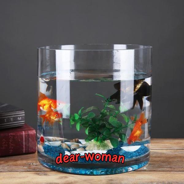 円柱型ガラス水槽 高透明度 51sTK-3TRWL.jpg_BO30,255,255,