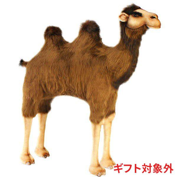 Hansa ハンサ フタコブラクタ 62 ギフト対象外 リアル 動物 ぬいぐるみ プレゼント ギフト 62 Dear Bear 通販 Yahoo ショッピング