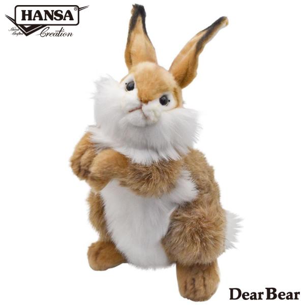 dearbear_3316