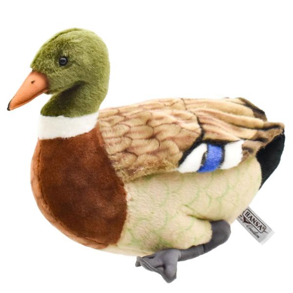 リアル剥製 カモ（マガモ）ペアセット｜木製台座付き・一点物 リアル剥製（本物）マガモ／カモ 剥製 木製台座付き