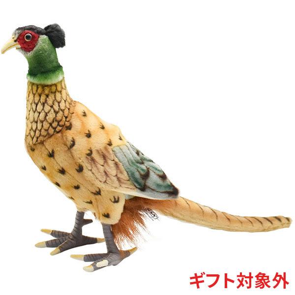 Hansa ハンサ キジ 鳥 3846 ギフト対象外 リアル 動物 ぬいぐるみ プレゼント ギフト 3846 Dear Bear 通販 Yahoo ショッピング