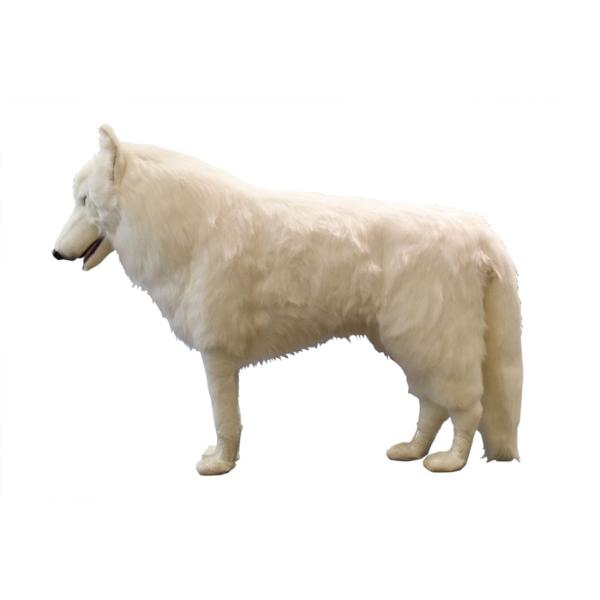 dearbear_4444_1