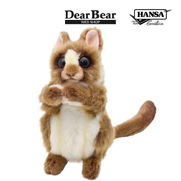 dearbear_4558