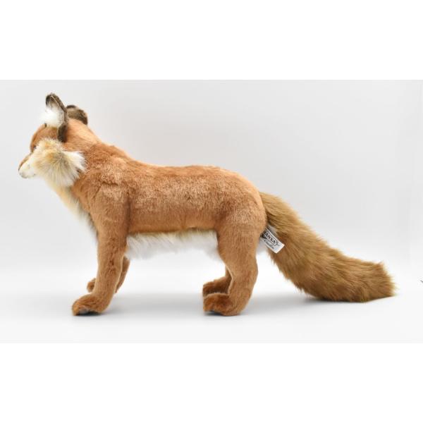 HANSA BH4699 アカギツネ キツネ きつね 狐 ぬいぐるみ リアル : Dear